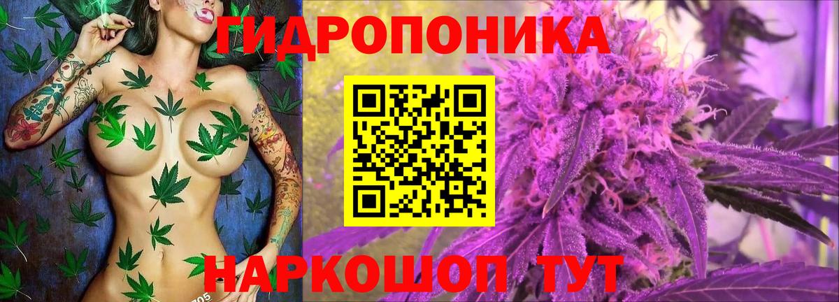 Каннабис THC 21%  Канабис тримм  Вход с VPN  Канабис тримм  Марихуана VHQ  Россия 